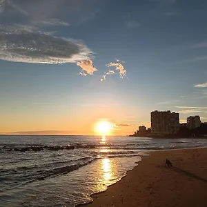 https://estudio-pies-de-arena.1costadelsol.com